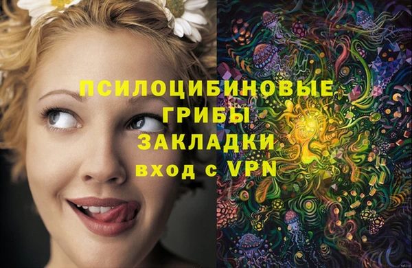 mdma Няндома