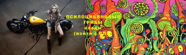 mdma Няндома