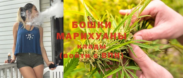 ПСИЛОЦИБИНОВЫЕ ГРИБЫ Нязепетровск