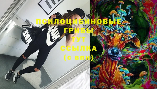 трава Нягань