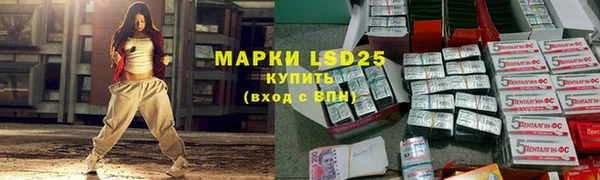 ПСИЛОЦИБИНОВЫЕ ГРИБЫ Нязепетровск